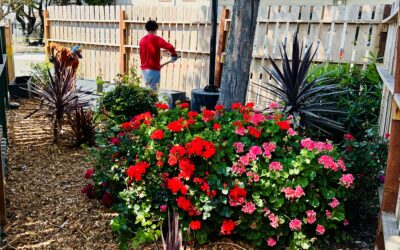 Planting seeds of change with P2P: Richmond students launch GRIP’s community garden